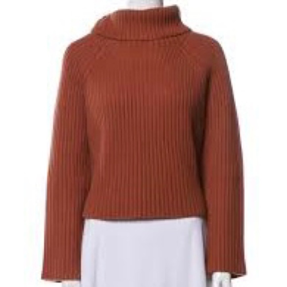 Lewit Women’s Brown Ribbed 100% Cashmere Pullover Turtleneck Sweater